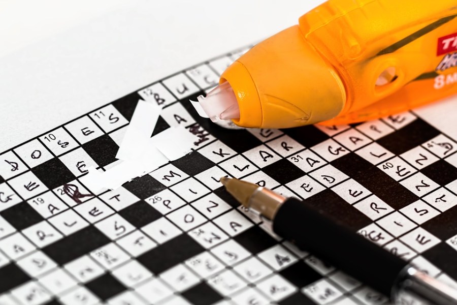 another word for dissertation crossword clue